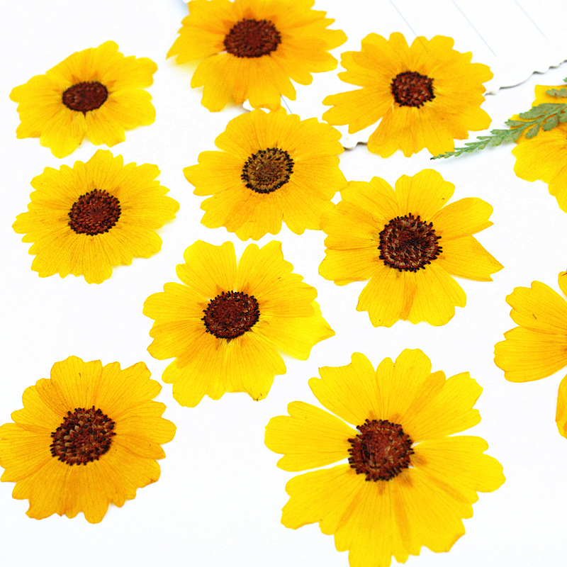 24 pièces, fleurs de chrysanth - Resin Art Baby avis et prix